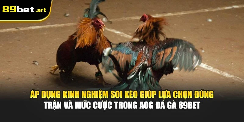 AOG Đá Gà 89Bet - Đặt Kèo Cực Chuẩn, Nhận Tiền Tức Thì