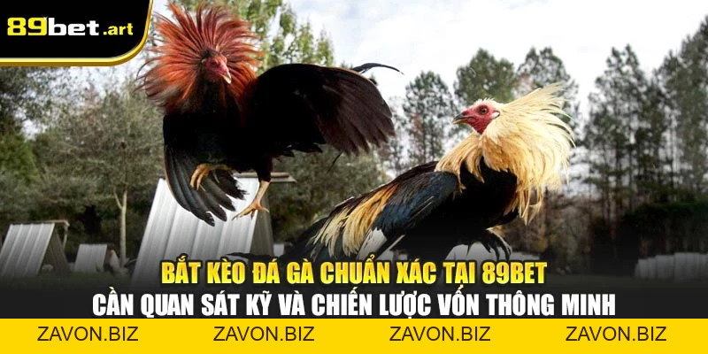 Đá Gà 89Bet - Trận Đấu Đỉnh Cao, Thắng Lớn Mỗi Ngày