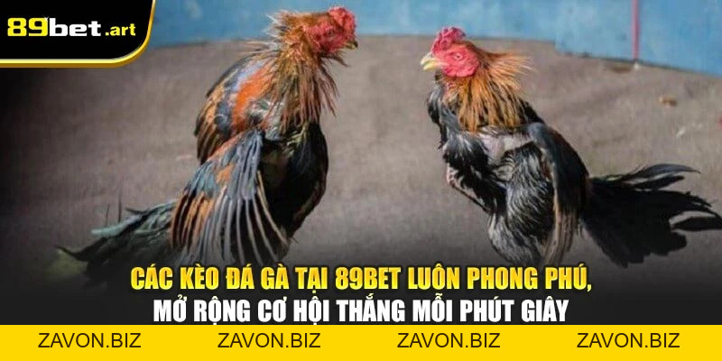 Đá Gà 89Bet - Trận Đấu Đỉnh Cao, Thắng Lớn Mỗi Ngày