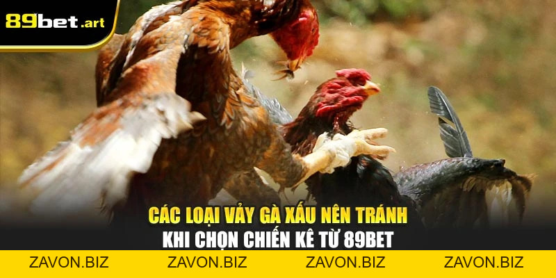 Đá Gà 89Bet - Trận Đấu Đỉnh Cao, Thắng Lớn Mỗi Ngày