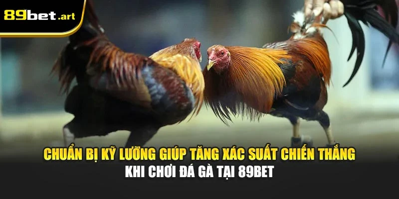 Kinh Nghiệm Chơi Đá Gà Tại 89Bet Dành Cho Các Cao Thủ
