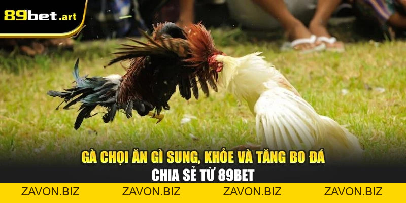 Đá Gà 89Bet - Trận Đấu Đỉnh Cao, Thắng Lớn Mỗi Ngày