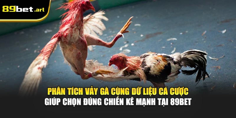 Các Loại Vảy Gà Xấu Nên Tránh Khi Chọn Chiến Kê Từ 89Bet