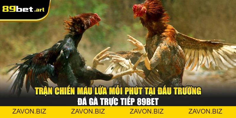 Đá Gà 89Bet - Trận Đấu Đỉnh Cao, Thắng Lớn Mỗi Ngày