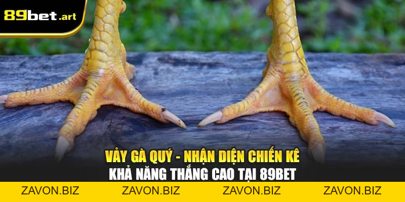 Vảy Gà Quý - Nhận Diện Chiến Kê Khả Năng Thắng Cao Tại 89Bet