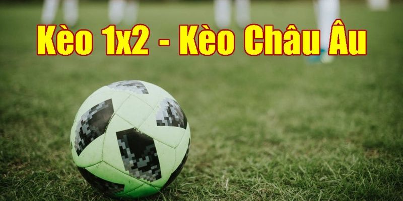 Kèo ½ - RS88 Hướng Dẫn Cách Đọc Chuẩn Xác Cho Tân Thủ